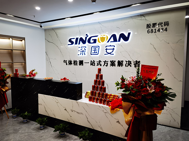 深國(guó)安氣體檢測(cè)儀廠家