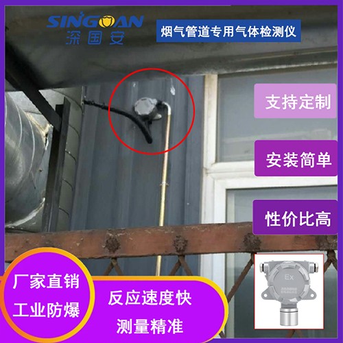 煙氣管道專用氣體檢測儀