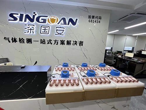 固定式氦氣檢測儀生產(chǎn)廠家